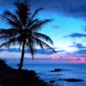 Meet your Posher, Weeko